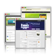 WebsiteSaver™ diverse website templates satisfy customers who wish to modify or get a new website